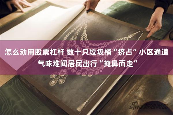 怎么动用股票杠杆 数十只垃圾桶“挤占”小区通道 气味难闻居民出行“掩鼻而走”