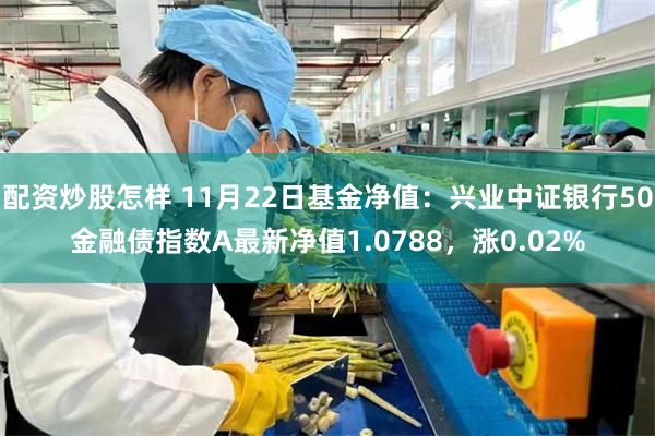 配资炒股怎样 11月22日基金净值：兴业中证银行50金融债指数A最新净值1.0788，涨0.02%