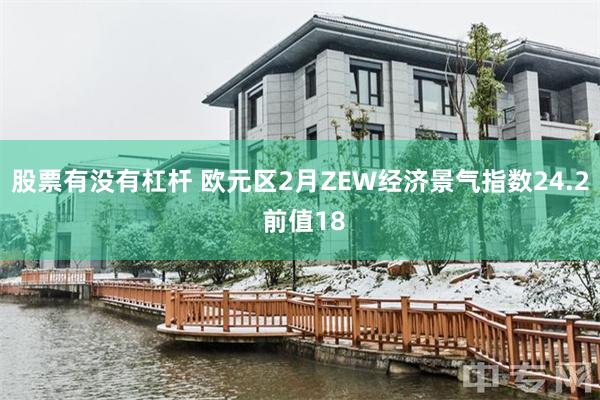 股票有没有杠杆 欧元区2月ZEW经济景气指数24.2 前值18