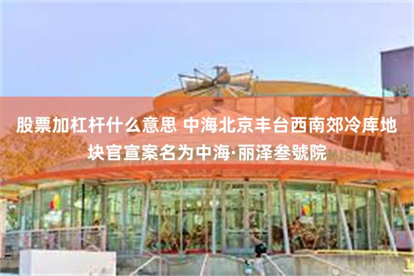 股票加杠杆什么意思 中海北京丰台西南郊冷库地块官宣案名为中海·丽泽叁號院