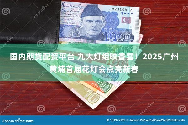 国内期货配资平台 九大灯组映香雪！2025广州黄埔首届花灯会点亮新春
