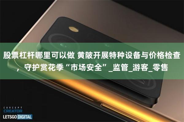 股票杠杆哪里可以做 黄陂开展特种设备与价格检查，守护赏花季“市场安全”_监管_游客_零售