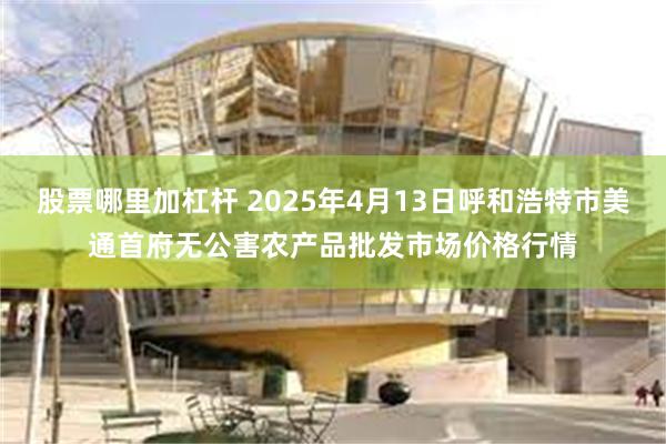 股票哪里加杠杆 2025年4月13日呼和浩特市美通首府无公害农产品批发市场价格行情
