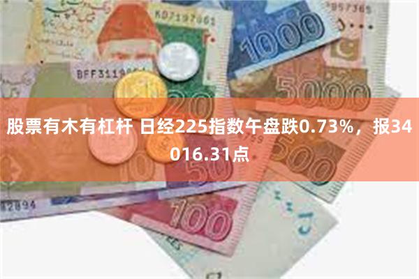股票有木有杠杆 日经225指数午盘跌0.73%，报34016.31点
