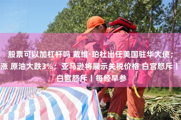股票可以加杠杆吗 戴维·珀杜出任美国驻华大使；道指六连涨 原油大跌3%；亚马逊将展示关税价格 白宫怒斥丨每经早参