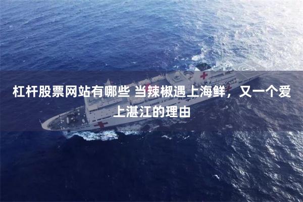 杠杆股票网站有哪些 当辣椒遇上海鲜，又一个爱上湛江的理由