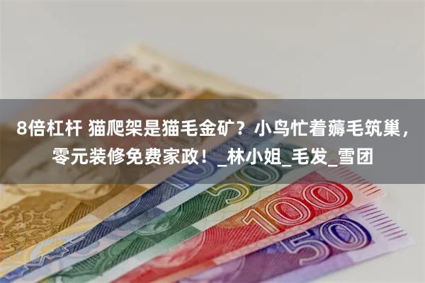 8倍杠杆 猫爬架是猫毛金矿？小鸟忙着薅毛筑巢，零元装修免费家政！_林小姐_毛发_雪团
