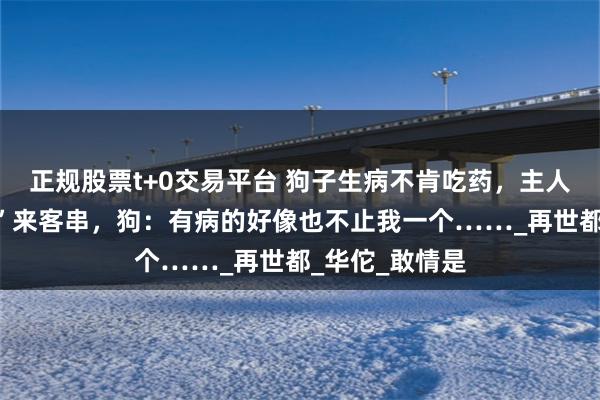 正规股票t+0交易平台 狗子生病不肯吃药，主人找“客串演员”来客串，狗：有病的好像也不止我一个……_再世都_华佗_敢情是