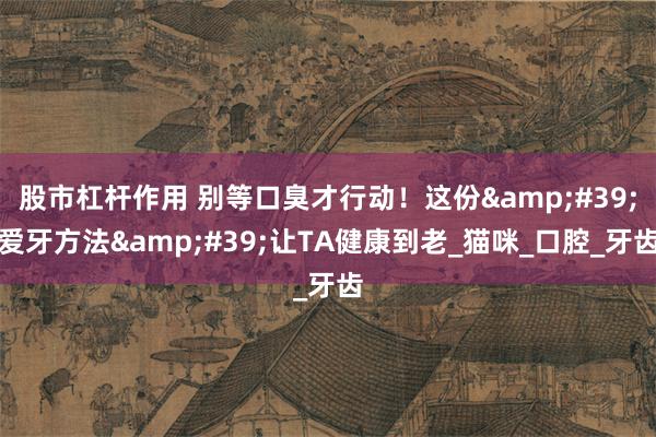 股市杠杆作用 别等口臭才行动！这份&#39;爱牙方法&#39;让TA健康到老_猫咪_口腔_牙齿