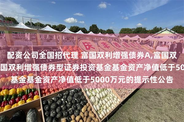 配资公司全国招代理 富国双利增强债券A,富国双利增强债券C: 关于富国双利增强债券型证券投资基金基金资产净值低于5000万元的提示性公告