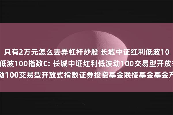 只有2万元怎么去弄杠杆炒股 长城中证红利低波100指数A,长城中证红利低波100指数C: 长城中证红利低波动100交易型开放式指数证券投资基金联接基金基金产品资料概要