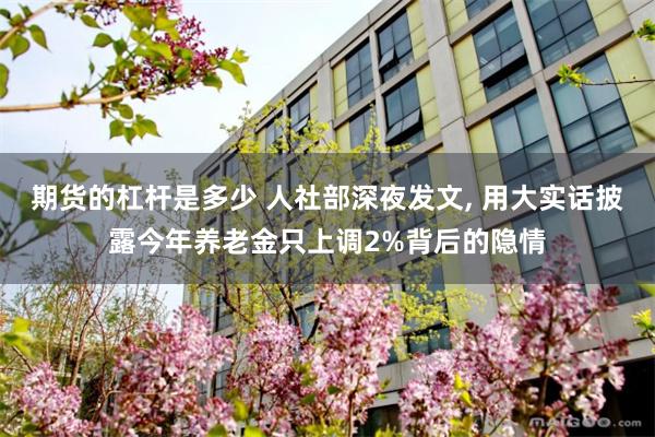 期货的杠杆是多少 人社部深夜发文, 用大实话披露今年养老金只上调2%背后的隐情