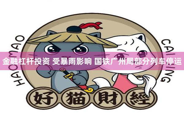 金融杠杆投资 受暴雨影响 国铁广州局部分列车停运