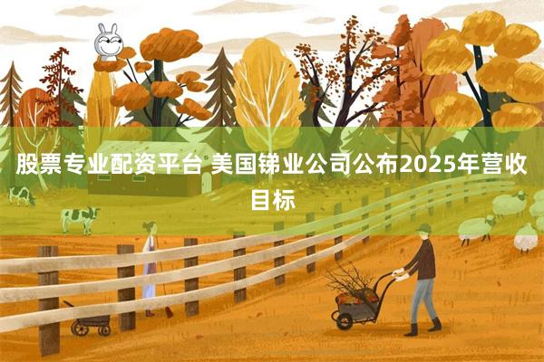 股票专业配资平台 美国锑业公司公布2025年营收目标