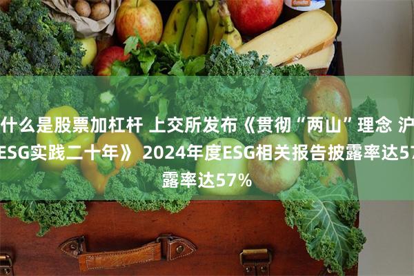 什么是股票加杠杆 上交所发布《贯彻“两山”理念 沪市ESG实践二十年》 2024年度ESG相关报告披露率达57%