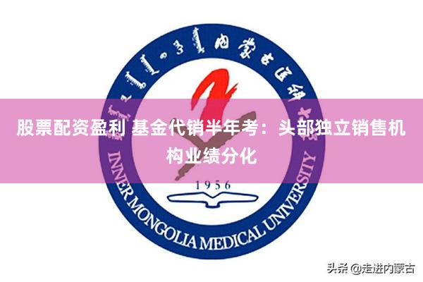 股票配资盈利 基金代销半年考：头部独立销售机构业绩分化