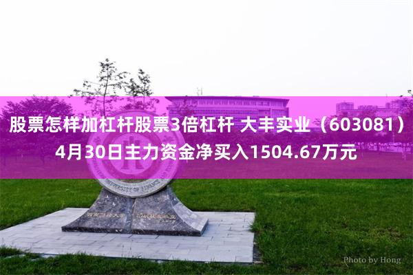 股票怎样加杠杆股票3倍杠杆 大丰实业(603081)4月30日主力资金净买入1504.67万元