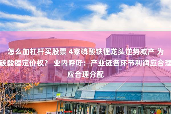 怎么加杠杆买股票 4家磷酸铁锂龙头逆势减产 为争夺碳酸锂定价权？ 业内呼吁：产业链各环节利润应合理分配